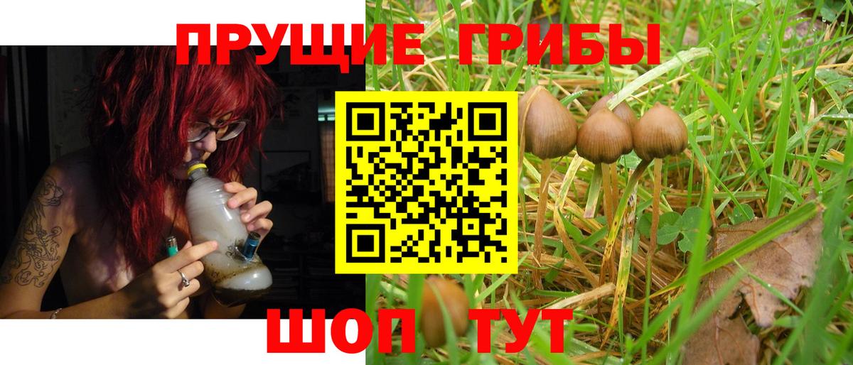 Псилоцибиновые грибы MAGIC MUSHROOMS  Галлюциногенные грибы MAGIC MUSHROOMS  Вход с VPN  Елизово 