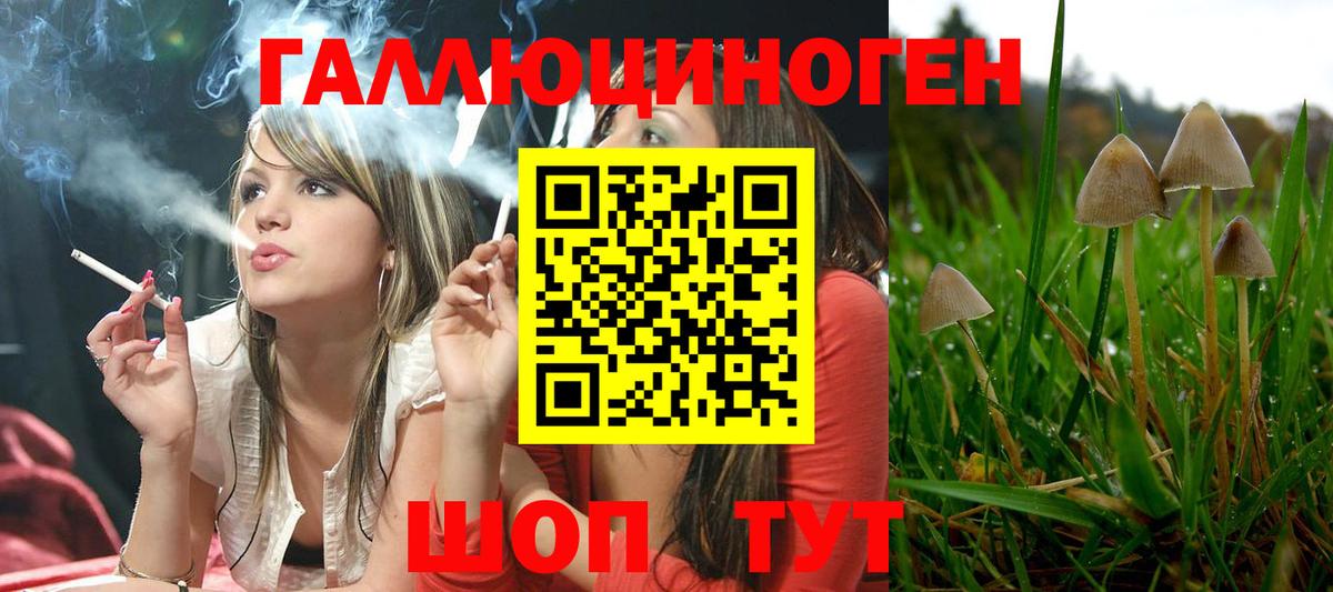 Псилоцибиновые грибы ЛСД Елизово